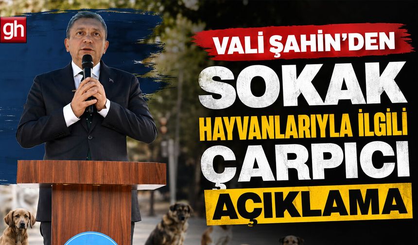 Antalya’da her yıl 25 bin vatandaş köpek ısırması nedeniyle tedavi görüyordu