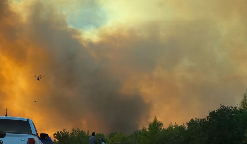 Antalya Aksu'da orman yangını