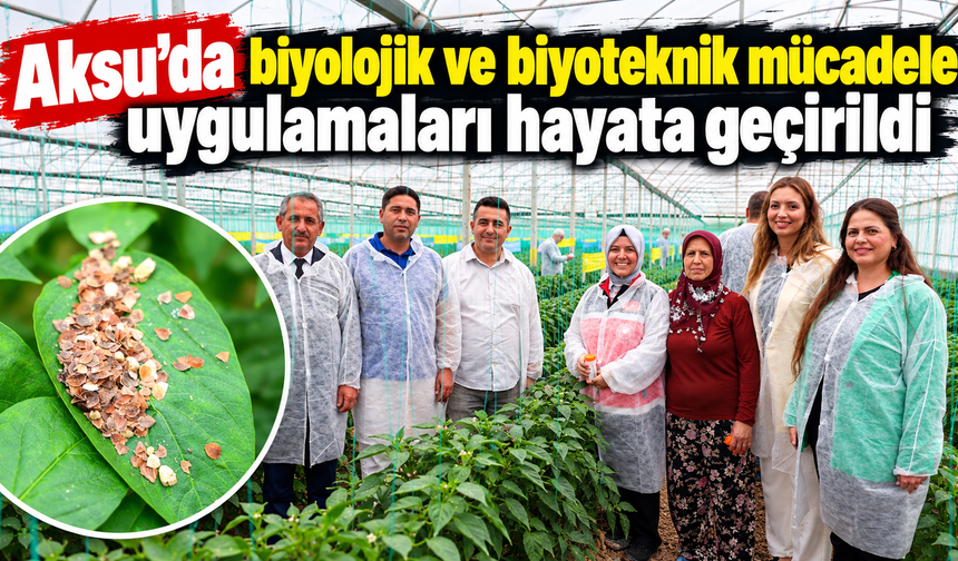Aksu’da biyolojik mücadeleyle kalıntısız üretim hedefleniyor