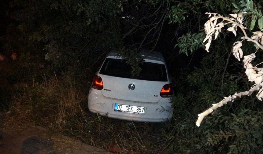 Otomobil bahçeye uçtu