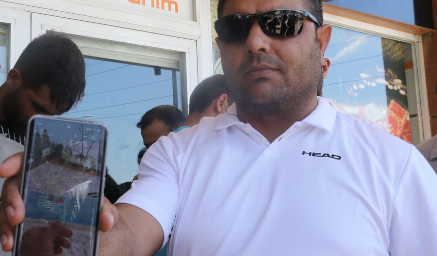 Antalya'da kâr vaadiyle milyarlık dolandırıcılık iddiası