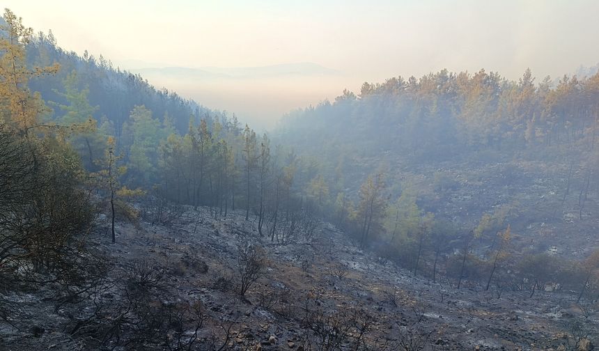 Kumluca’daki orman yangını kısmen kontrol altında