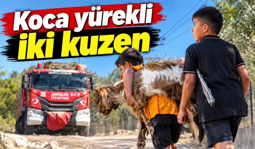 Yangından kurtardıkları oğlaklarını sırtlarında taşıdı