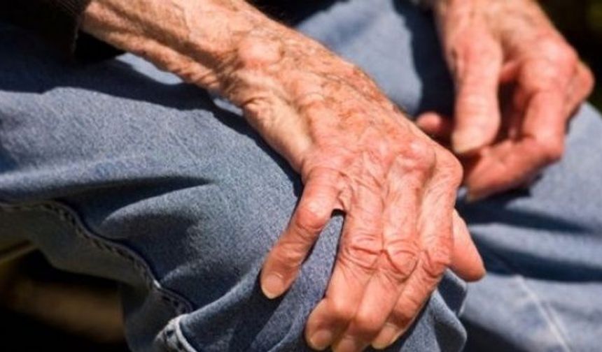 Prof. Dr. Ahmet Turan Aydın: "Osteoporoz dünya genelinde 500 milyondan fazla kişiyi etkiliyor"