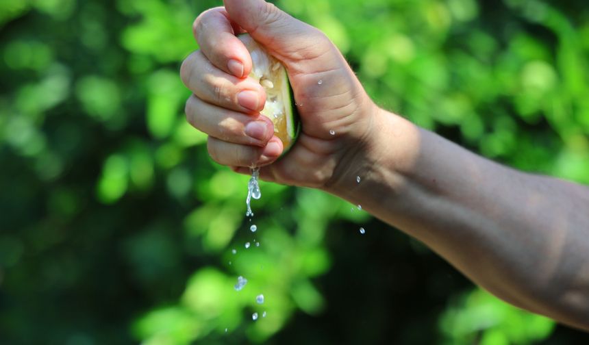 Karadeniz'de gemi trafiği durdu, limon ve mandalina dalında kaldı!