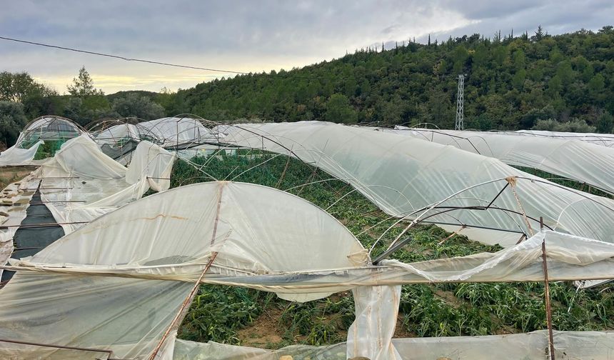 Hortum seraları yerle bir etti: 15 dönüm tarım arazisi zarar gördü
