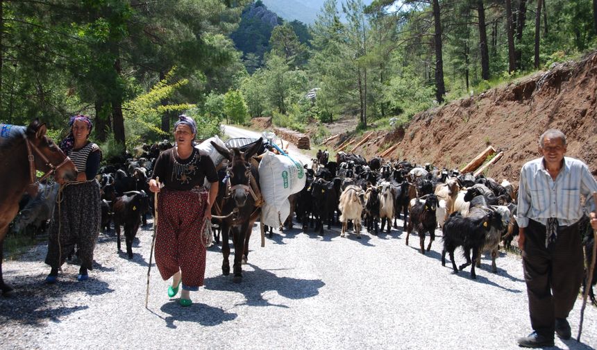 Yörüklerin Toroslar'dan sahile dönüş yolculuğu başladı