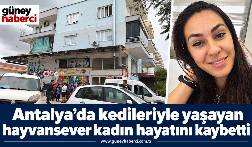 Kadının beslediği çok sayıda kedi belediye ekiplerince koruma altına alındı