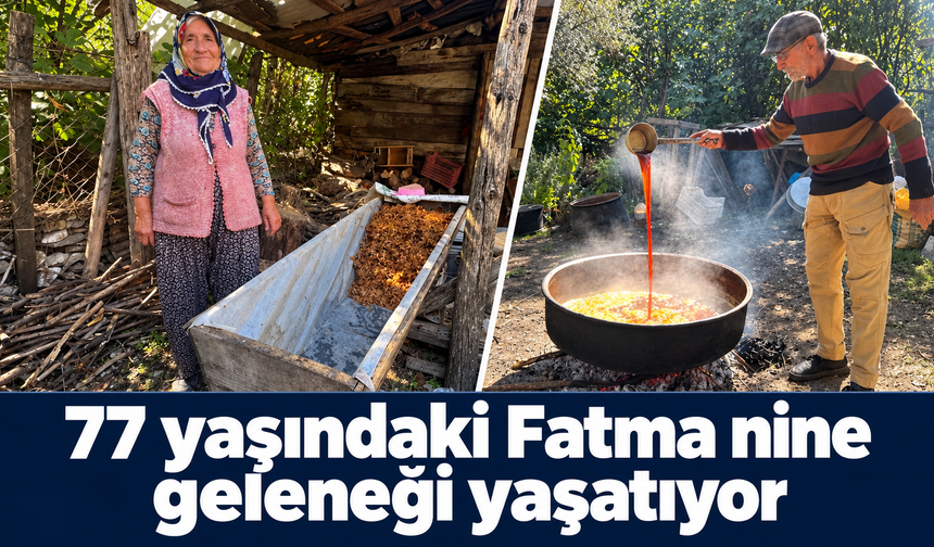 Sırrı meşe külünde saklı