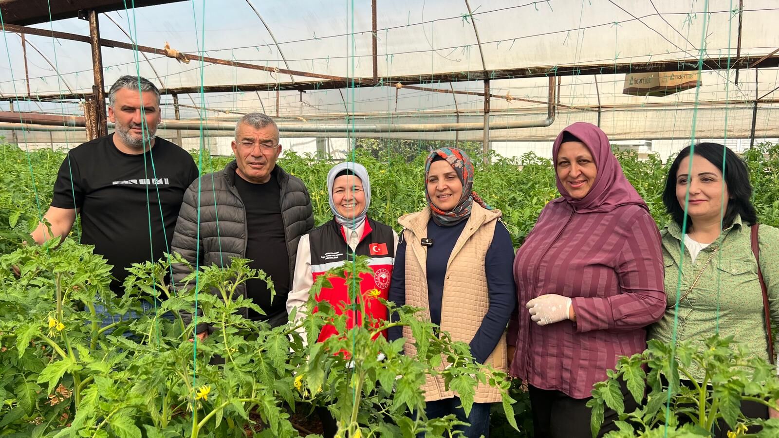 Aksu'da örtü altı tarımda yıllık yaklaşık 370 bin tonluk rekoltenin tamamı kadın çiftçilerin emeğiyle üretiliyor