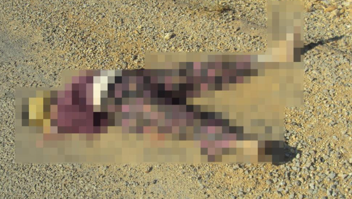 Antalya’da 15 yıllık sır perdesi aralandı!