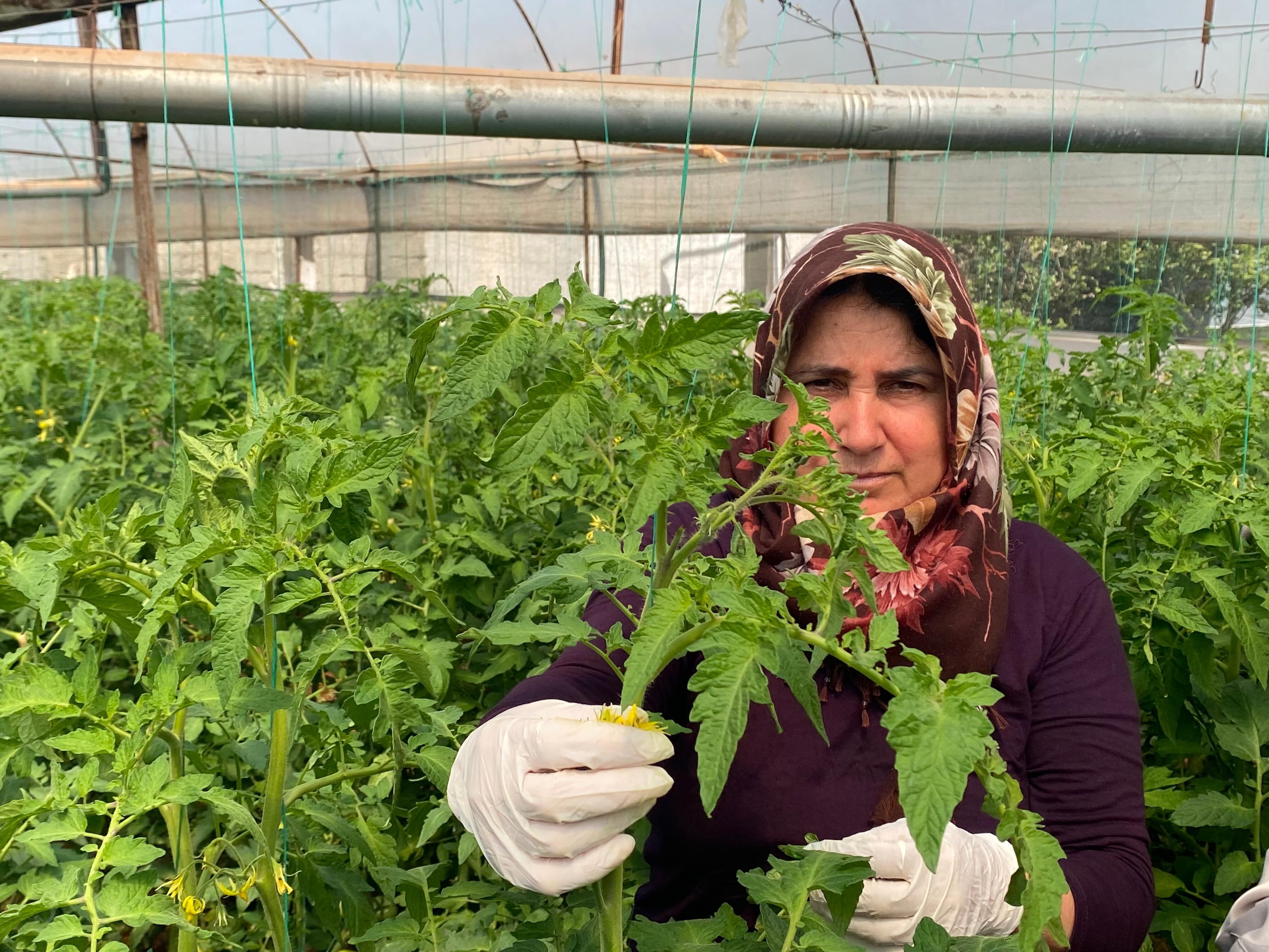 Whatsapp Image 2026 04 12 At 11.12.41 (2)