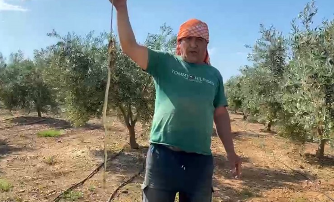 'Yılanı öldürdüm' deyip çektirdiği video pahalıya mal oldu!