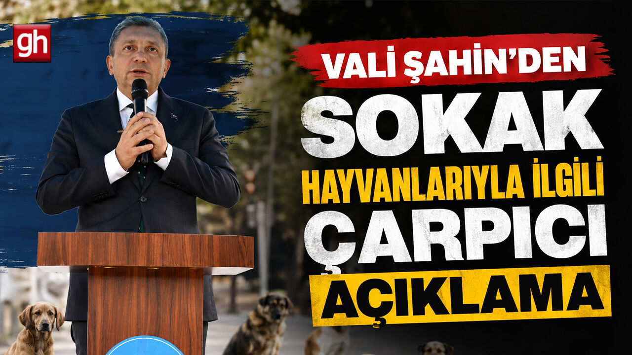 Antalya’da her yıl 25 bin vatandaş köpek ısırması nedeniyle tedavi görüyordu