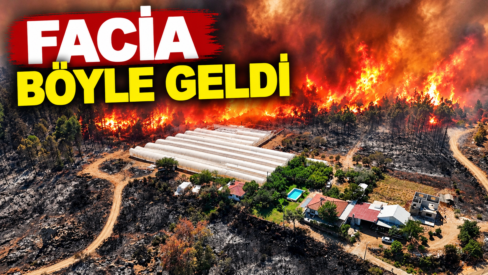 Aksu'da yemyeşil orman alanı 15 dakika içinde alev topuna dönüp seralara ve evlerin kapılarına dayandı